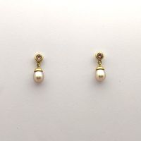 Ear Jewelry - Garnets, Freshwater Pearls in Gold 750